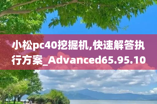 小松pc40挖掘机,快速解答执行方案_Advanced65.95.10