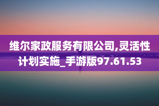 维尔家政服务有限公司,灵活性计划实施_手游版97.61.53