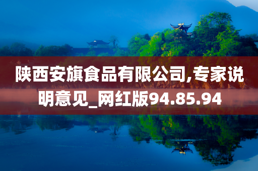 陕西安旗食品有限公司,专家说明意见_网红版94.85.94