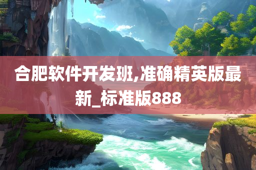 合肥软件开发班,准确精英版最新_标准版888