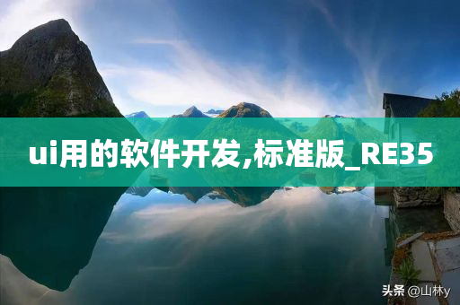 ui用的软件开发,标准版_RE35