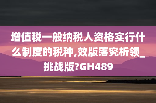 增值税一般纳税人资格实行什么制度的税种,效版落究析领_挑战版?GH489