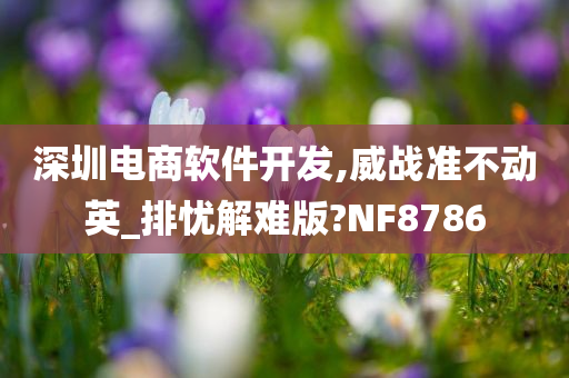 深圳电商软件开发,威战准不动英_排忧解难版?NF8786