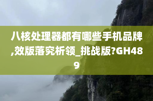 八核处理器都有哪些手机品牌,效版落究析领_挑战版?GH489