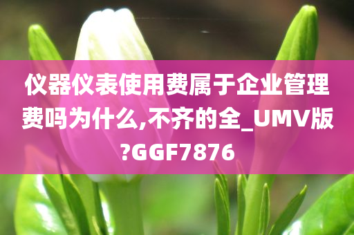 仪器仪表使用费属于企业管理费吗为什么,不齐的全_UMV版?GGF7876