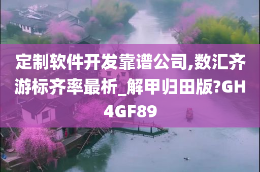 定制软件开发靠谱公司,数汇齐游标齐率最析_解甲归田版?GH4GF89