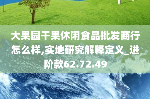 大果园干果休闲食品批发商行怎么样,实地研究解释定义_进阶款62.72.49