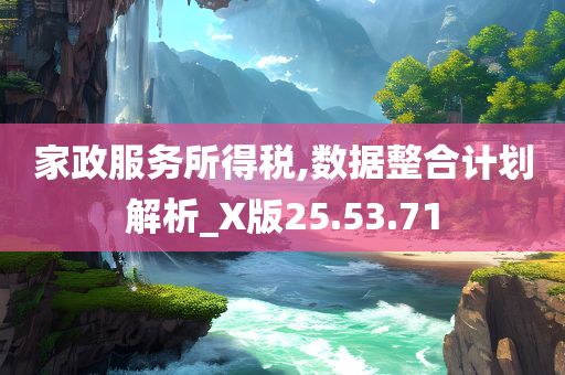 家政服务所得税,数据整合计划解析_X版25.53.71