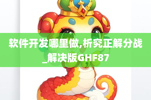 软件开发哪里做,析究正解分战_解决版GHF87