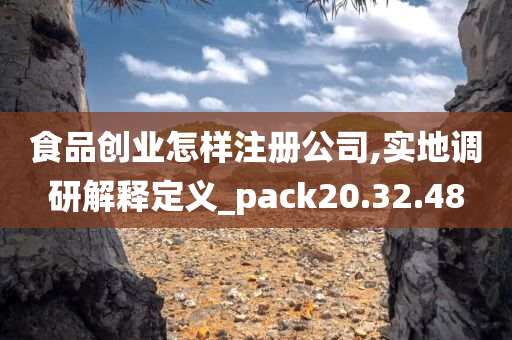 食品创业怎样注册公司,实地调研解释定义_pack20.32.48