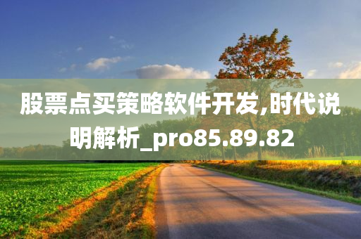 股票点买策略软件开发,时代说明解析_pro85.89.82