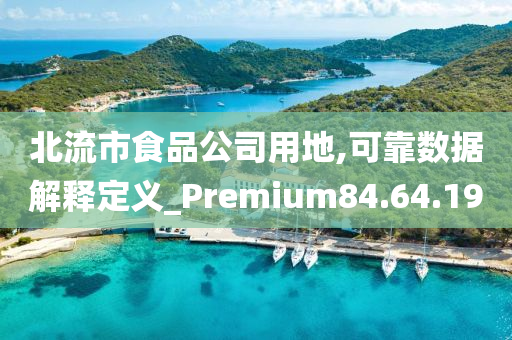 北流市食品公司用地,可靠数据解释定义_Premium84.64.19