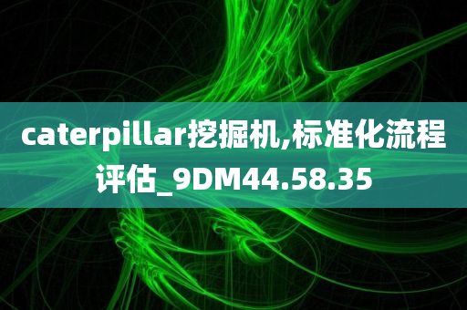 caterpillar挖掘机,标准化流程评估_9DM44.58.35