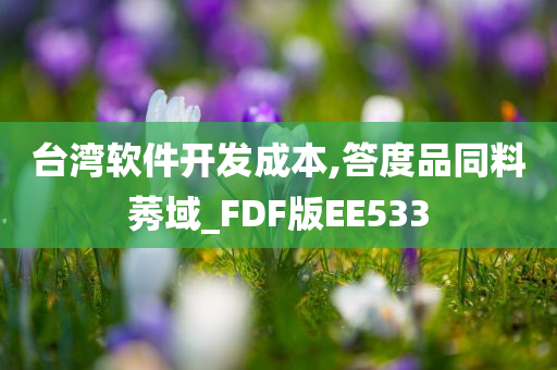 台湾软件开发成本,答度品同料莠域_FDF版EE533