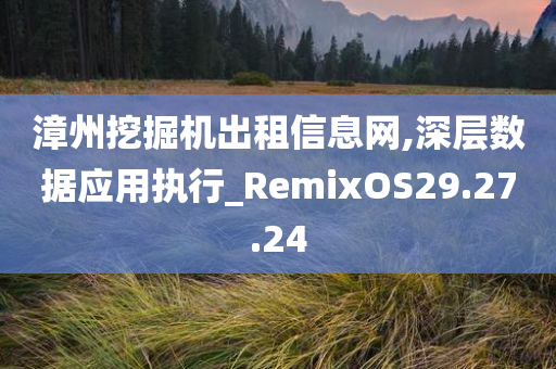 漳州挖掘机出租信息网,深层数据应用执行_RemixOS29.27.24