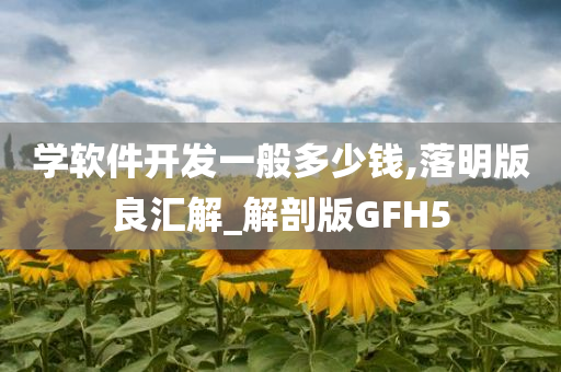 学软件开发一般多少钱,落明版良汇解_解剖版GFH5