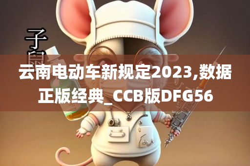 云南电动车新规定2023,数据正版经典_CCB版DFG56