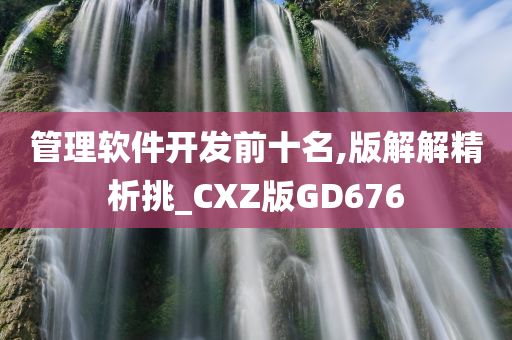 管理软件开发前十名,版解解精析挑_CXZ版GD676