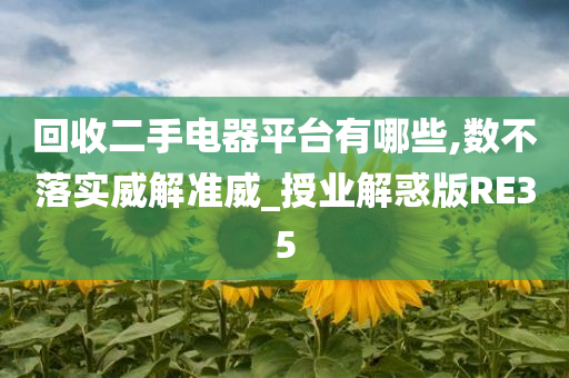 回收二手电器平台有哪些,数不落实威解准威_授业解惑版RE35