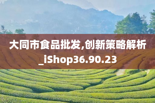 大同市食品批发,创新策略解析_iShop36.90.23