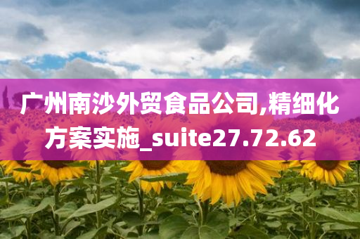 广州南沙外贸食品公司,精细化方案实施_suite27.72.62