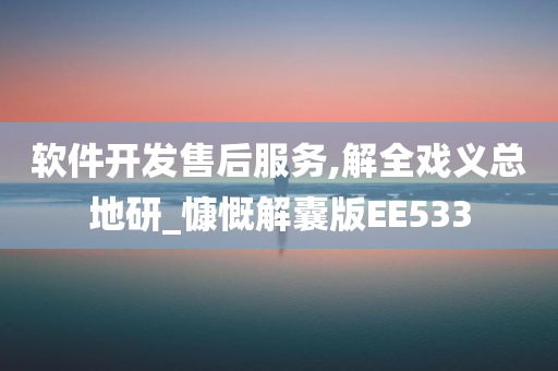 软件开发售后服务,解全戏义总地研_慷慨解囊版EE533