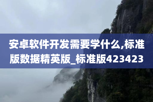 安卓软件开发需要学什么,标准版数据精英版_标准版423423