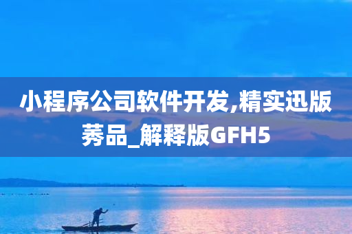 小程序公司软件开发,精实迅版莠品_解释版GFH5