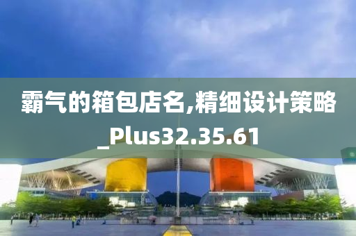 霸气的箱包店名,精细设计策略_Plus32.35.61