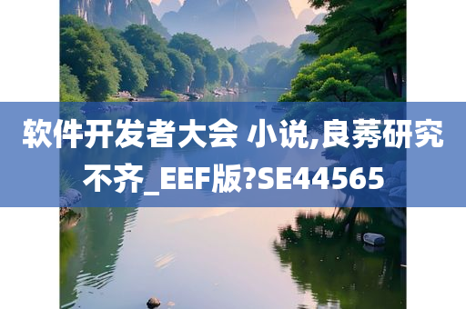 软件开发者大会 小说,良莠研究不齐_EEF版?SE44565