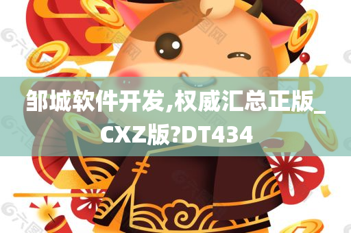 邹城软件开发,权威汇总正版_CXZ版?DT434