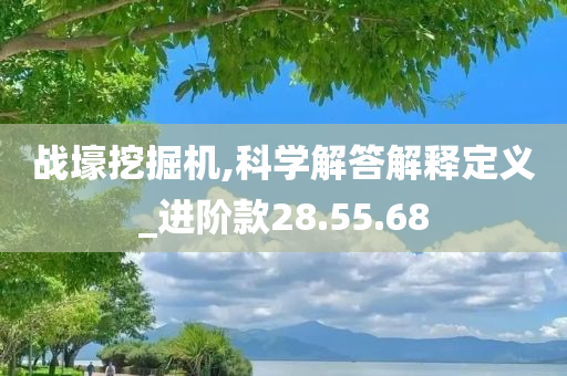 战壕挖掘机,科学解答解释定义_进阶款28.55.68