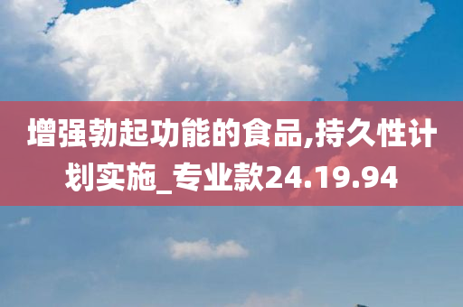 增强勃起功能的食品,持久性计划实施_专业款24.19.94