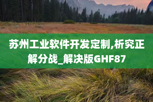 苏州工业软件开发定制,析究正解分战_解决版GHF87