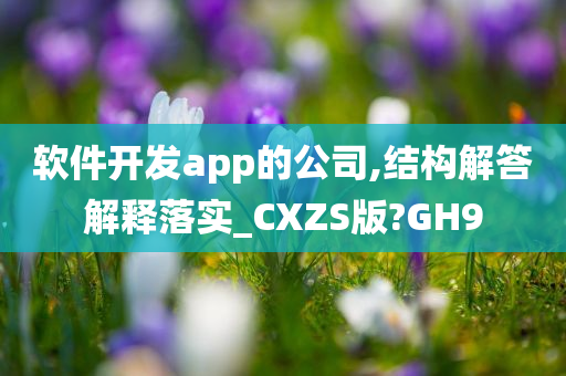 软件开发app的公司,结构解答解释落实_CXZS版?GH9