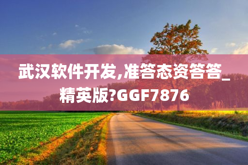 武汉软件开发,准答态资答答_精英版?GGF7876