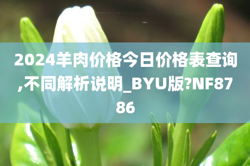 2024羊肉价格今日价格表查询,不同解析说明_BYU版?NF8786