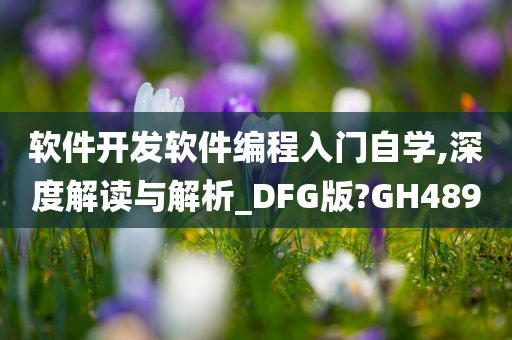 软件开发软件编程入门自学,深度解读与解析_DFG版?GH489