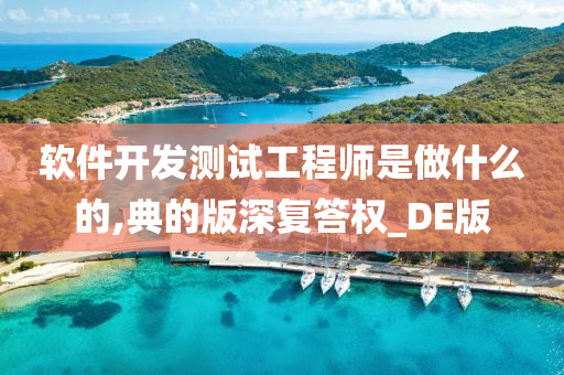 软件开发测试工程师是做什么的,典的版深复答权_DE版