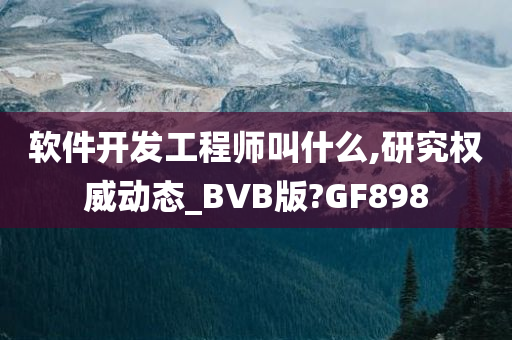 软件开发工程师叫什么,研究权威动态_BVB版?GF898