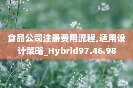 食品公司注册费用流程,适用设计策略_Hybrid97.46.98