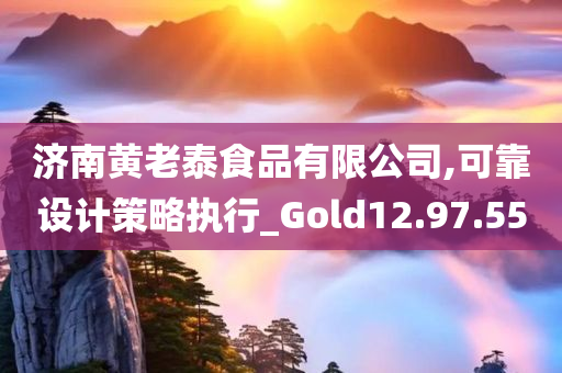 济南黄老泰食品有限公司,可靠设计策略执行_Gold12.97.55