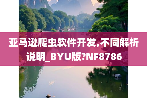 亚马逊爬虫软件开发,不同解析说明_BYU版?NF8786