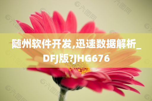 随州软件开发,迅速数据解析_DFJ版?JHG676