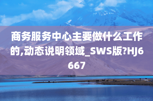 商务服务中心主要做什么工作的,动态说明领域_SWS版?HJ6667