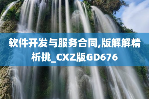 软件开发与服务合同,版解解精析挑_CXZ版GD676