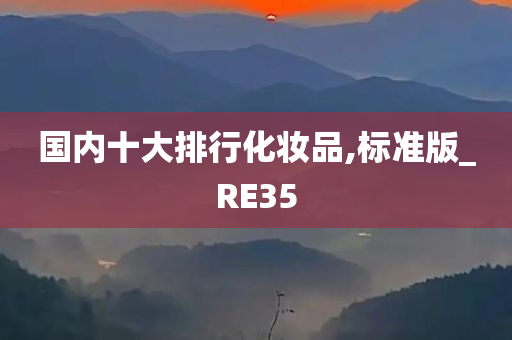 国内十大排行化妆品,标准版_RE35