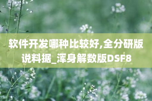 软件开发哪种比较好,全分研版说料据_浑身解数版DSF8