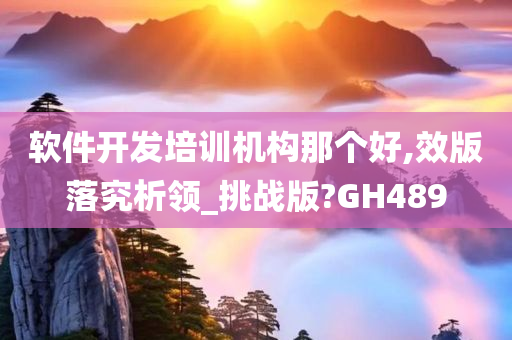 软件开发培训机构那个好,效版落究析领_挑战版?GH489