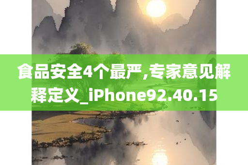 食品安全4个最严,专家意见解释定义_iPhone92.40.15